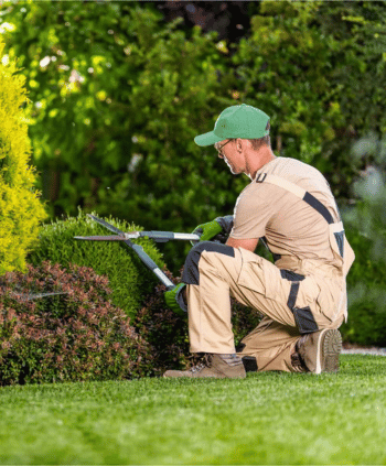 home projects - yard